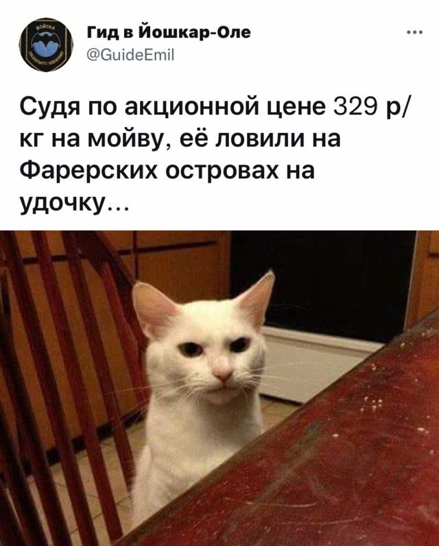 гид йошкар Оле мн Судя по акционной цене 329 р кг на мойву её ловили на Фарерских островах на удочку