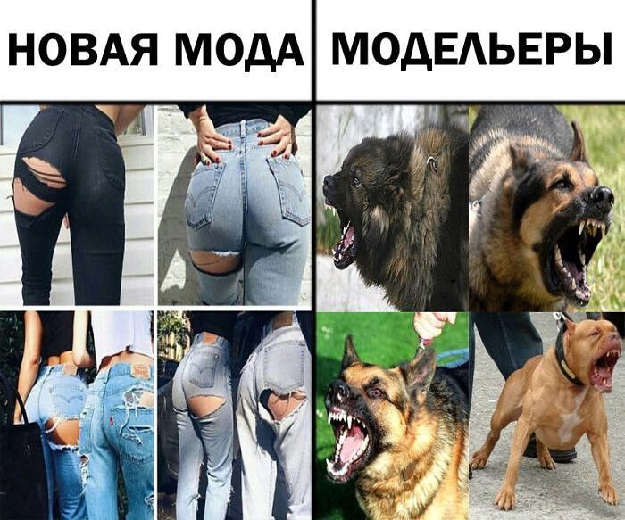НОВАЯ МОДА МОАЕАЬЕРЫ м _ ю _ а