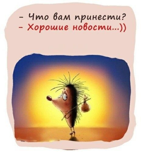 Что Вам принести Хорошие нобосщц