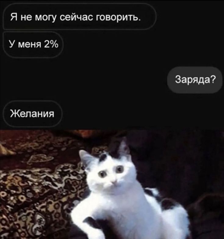 Я не могу сейчас говорить У меня 2 Заряда