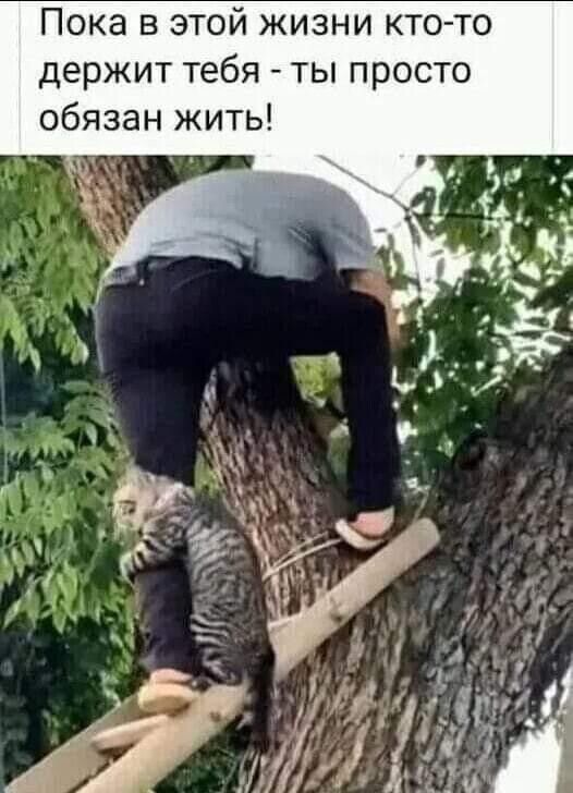 Пока в этой жизни кто то держит тебя ты просто обязан жить