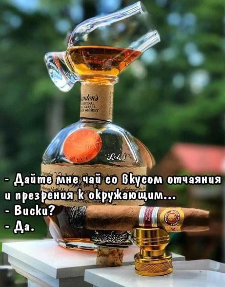 Ржу ТЗ Аніме ив чай и Муш отчаяния и Р видя пируЖающцм Вцсш