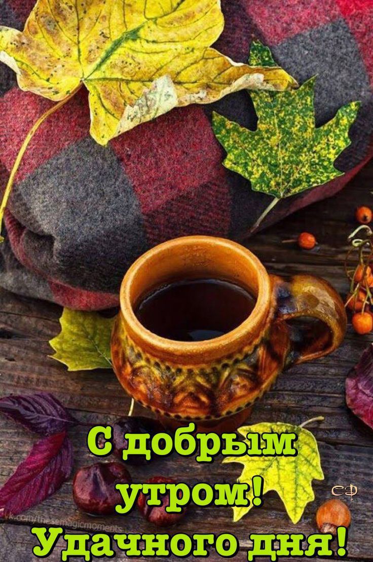 Удачногодня