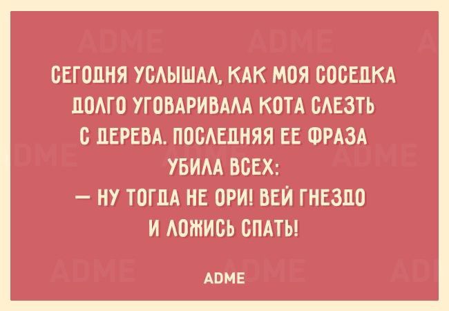 СЕГОДНЯ УБАЫШАА КАК МПЯ СОСЕДКА ЦОАГП УГОБАРИВАМ КПП САЕЗТЬ С ДЕРЕВА ППБАЕЦНЯЯ ЕЕ ФРАЗА УБИМ ВСЕХ НУ ТПГЛА НЕ ПРИ ВЕЙ ГНЕЗЛО И АОШИСЬ СПАТЬ АПНЕ