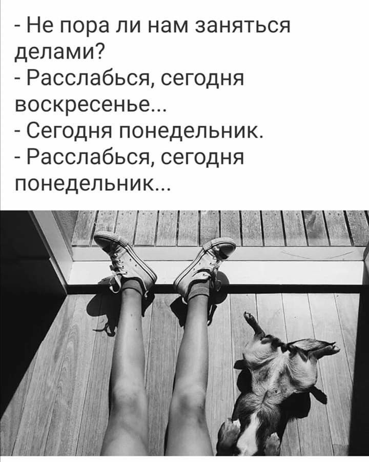 Не пора ли нам заняться делами Расслабься сегодня воскресенье Сегодня понедельник Расслабься сегодня понедельник