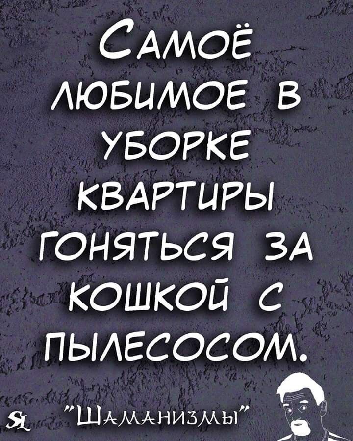 САмоЁ АЮБЦМОЕ в УБОРКЕ КВАРТИРЫ гоняться ЗА кошкой с ПЫАЕСОСОМ Я ШАМАНИЗМЬГ и