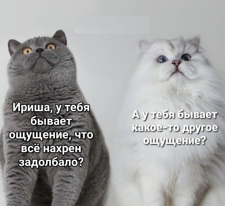Ириша у тебя бывает ощущение что всёнахрен задолбало