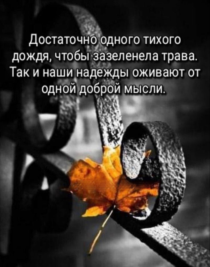 достаточ одного тихого дождя чтобь азеленела трава так И НЗШИНЗДеЖдЫ ОЖИЕЭЮТ ОТ одн_ой доброй м ьпсли