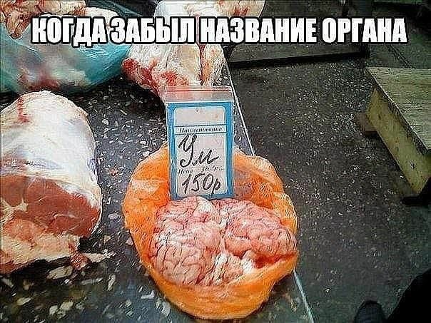іпвьш ниши виш