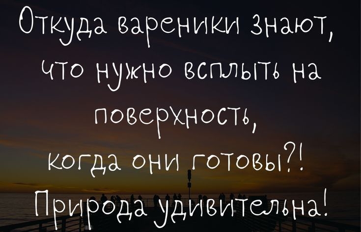 Откуда вареники Знают ЧТо нужно всплыть на поверхность Когда они готовы Природа ддивителвна НгтрзЖоісшрабоіэКі