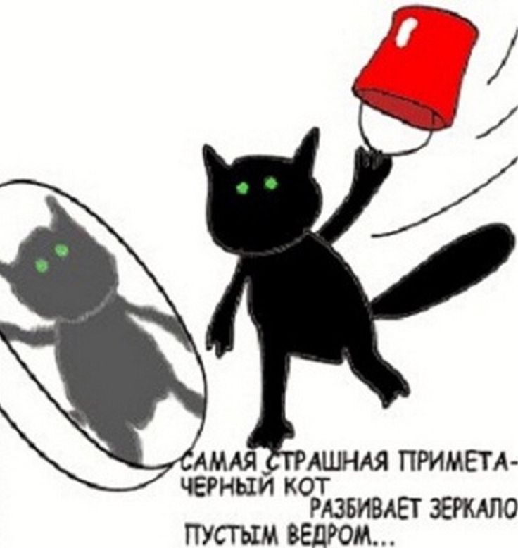 АШНАЯ ПРИМЕН ныи кот РАЗБИВАЕТ ЗЕРКАЛО ПУСТЫМ ЗЕДРОМ