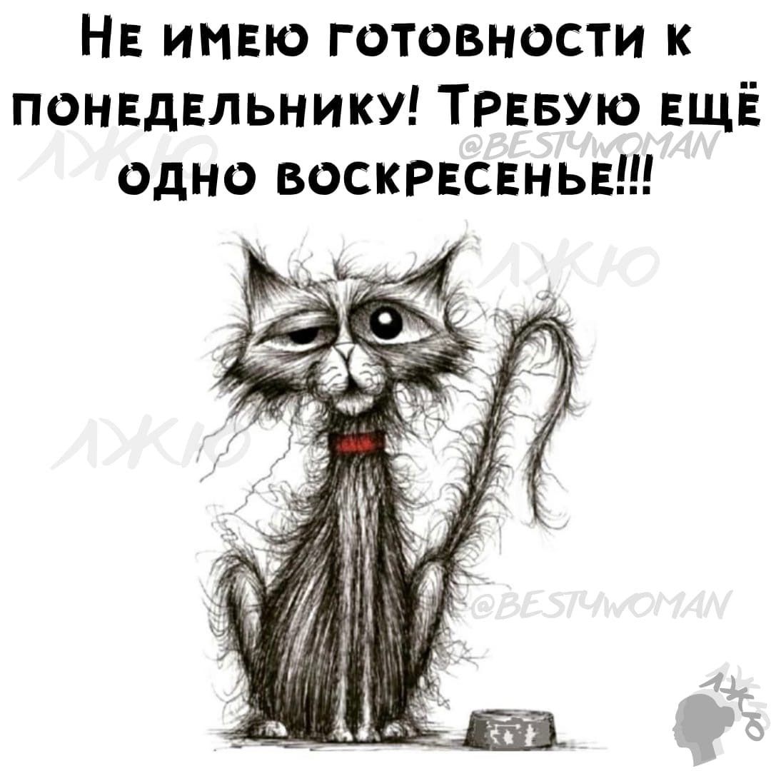 НЕ инвю готовности к понвдвльнику ТРЕБУЮ ЕЩЁ одно воскрвсвньв