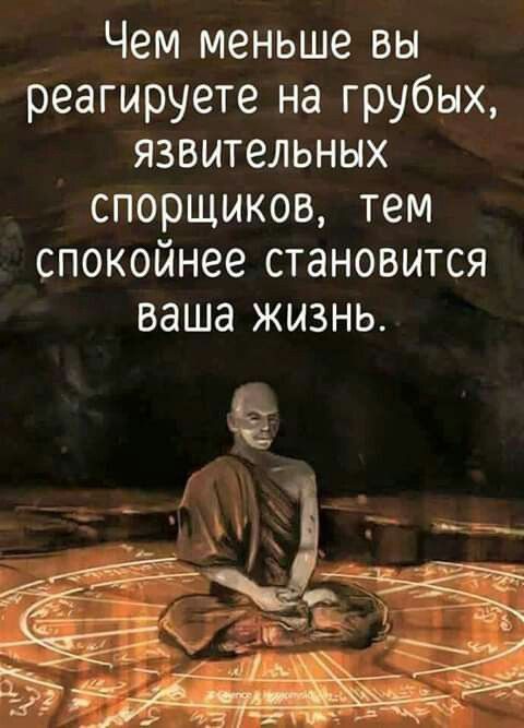 Чем меньше вы реагируете на грубых язвительных спорщиков тем спокойнее становится ваша ЖИЗНЬ