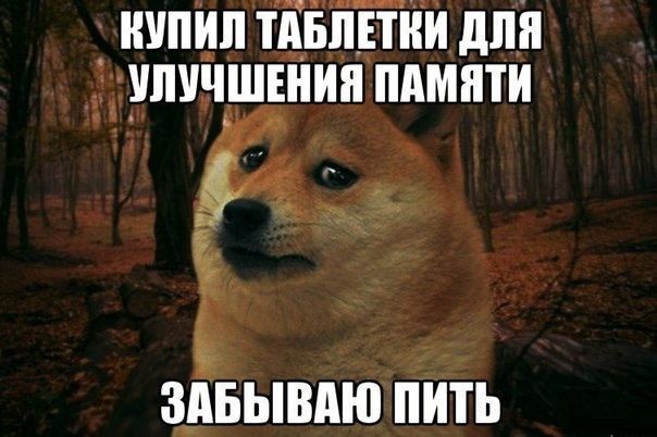 ИУПИЛ ТАБАПИИ дпИ ШШЧШЕИИИ ПАМИТИ з_мъывдю пить