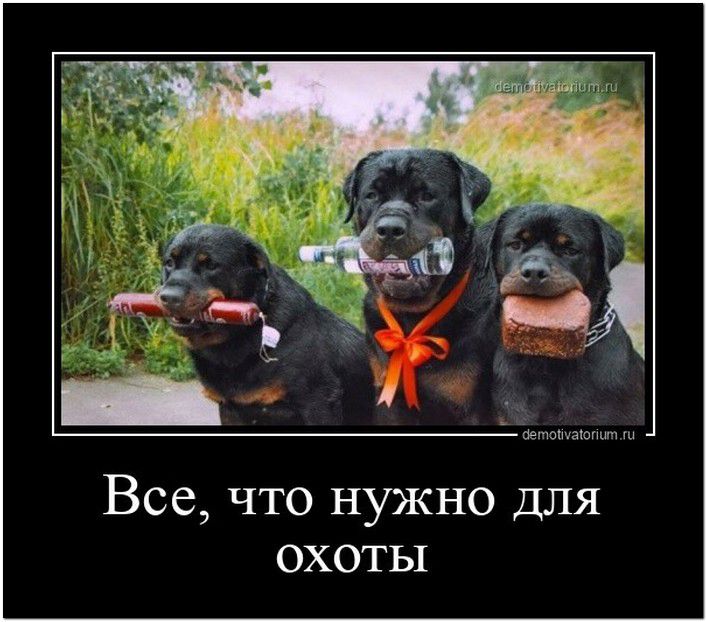 Все что нужно для охоты