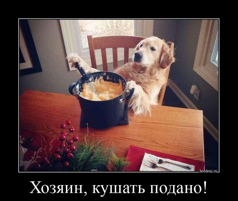 Хозяин кушать подано