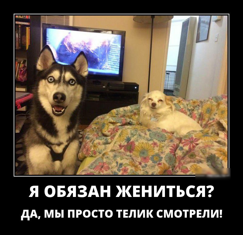 Я ОБЯЗАН ЖЕНИТЬСЯ дА мы просто ТЕЛИК смотгнлш