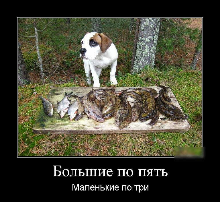 Большие по пять Маленькие ПО ТРИ