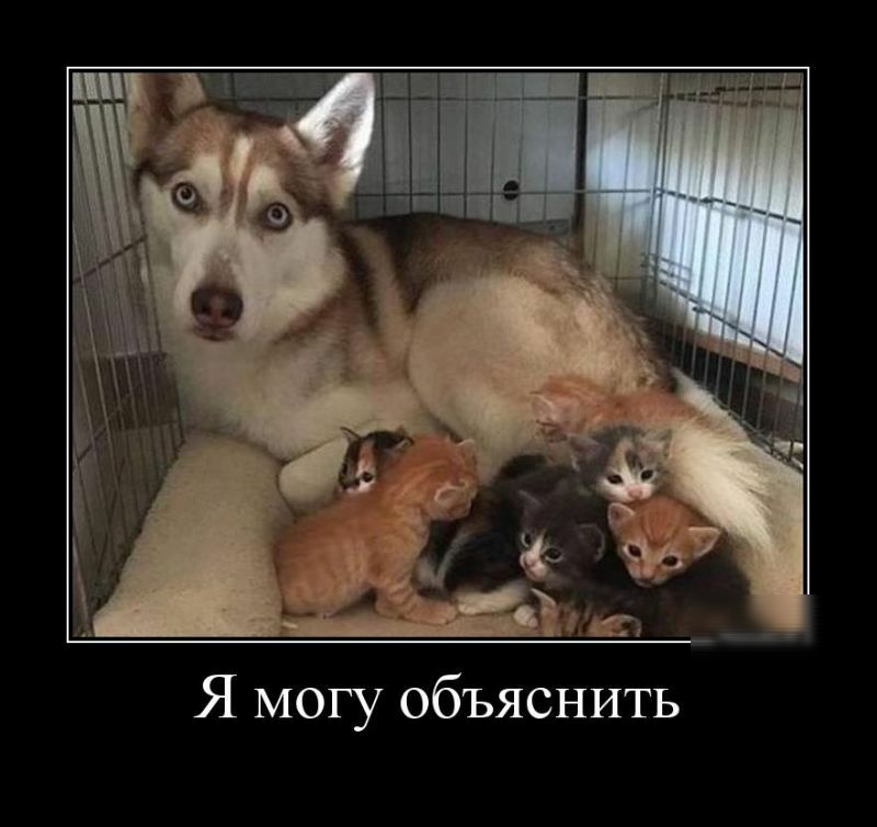Я могу объяснить