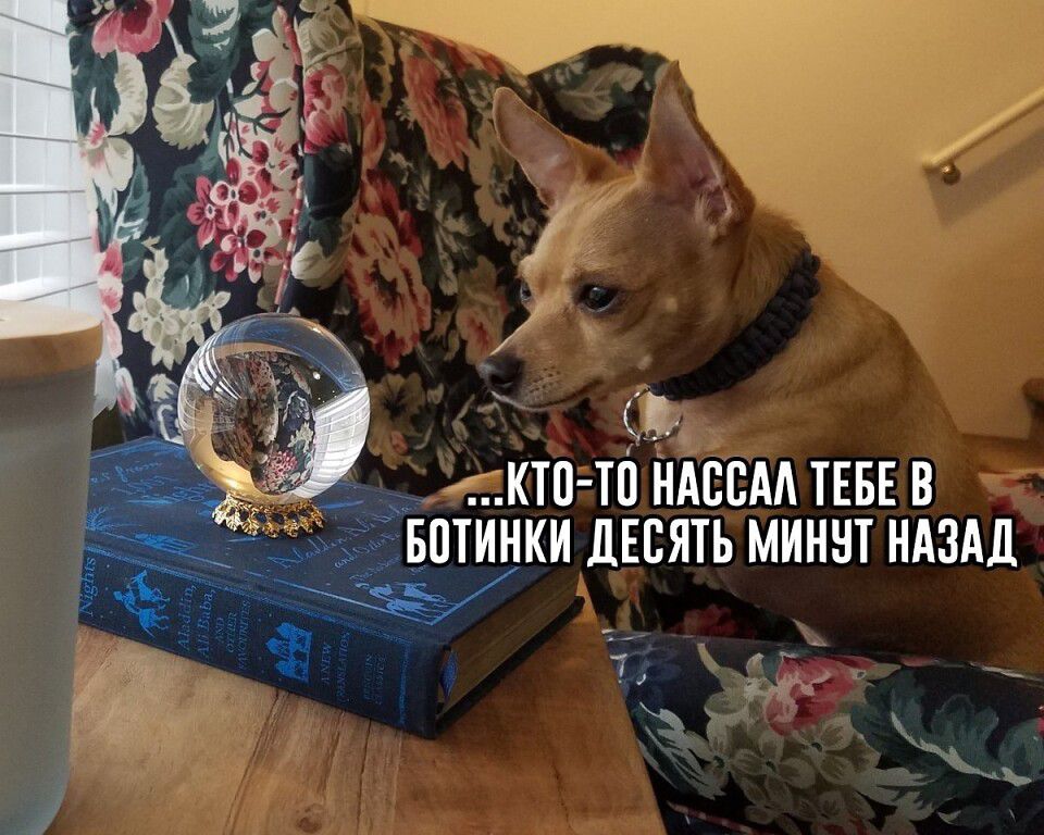 КТП ТП ИАЕСАА ТЕБЕ В _ БШИМКИ ДЕСЯТЬ МИИЩ НАЗАД