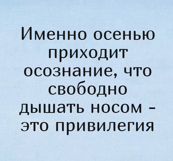 Именноосенью приходит осознаниечто свободно дьпиать носом это привилегия