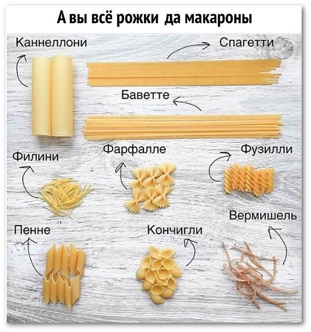 А вы всё рожки да макароны Каннеллони _ Спагеіід _ Кэнчигли _ и