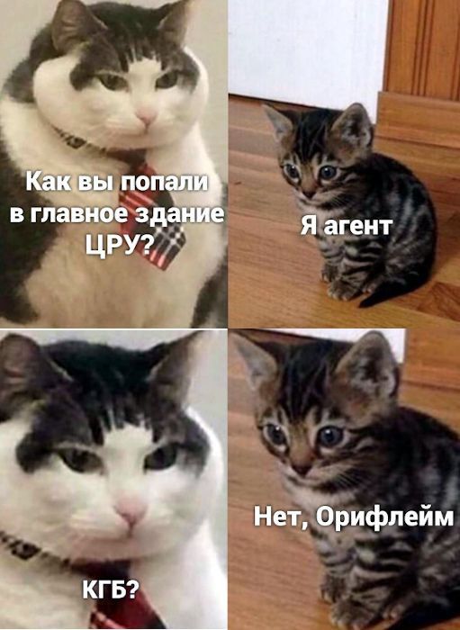 Негарифпейм