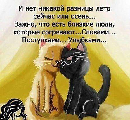 И нет никакой разницы лето сейчас или осень Важно что есть близкие люди которые согреваютСповами