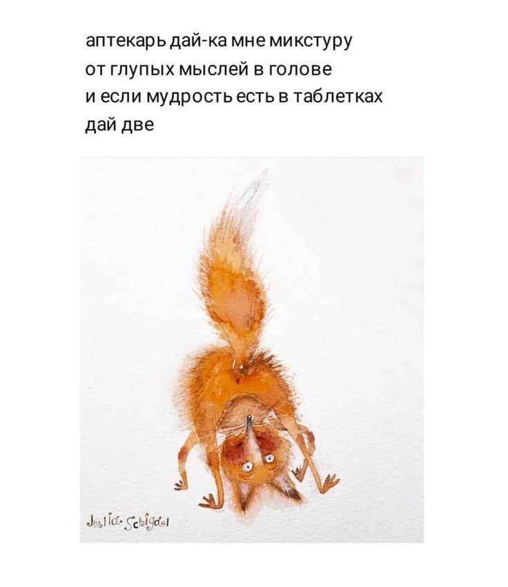 аптекарь дай ка мне микстуру от глупых мыслей в голове и если мудрость есть в таблетках дай две житті ч