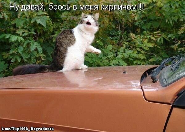 гъ Нуздавай брось в мевя кирпичеми А я у