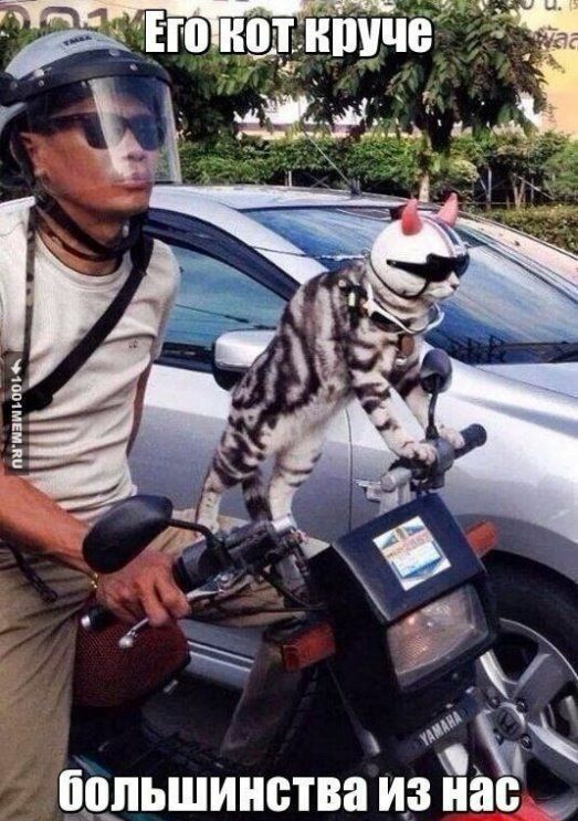 большинства ИЗ нас