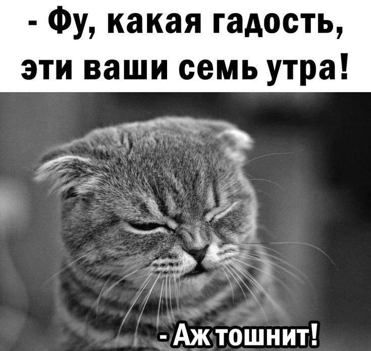 Фу какая гадость эти ваши семь утра Ё Аж тошнит