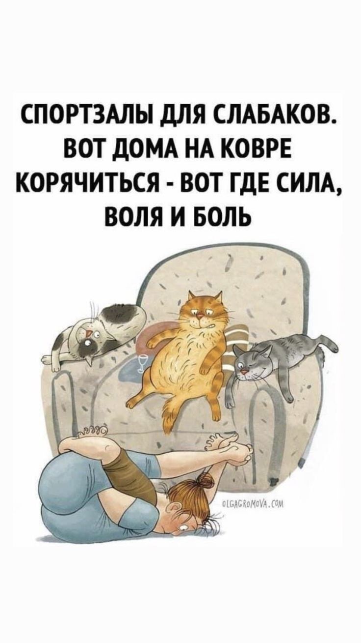 СПОРТЗАЛЫ для ШАБАКОВ ВОТ дОМА НА КОВРЕ КОРЯЧИТЬСЯ ВОТ ГДЕ СИЛА ВОЛЯ И БОЛЬ