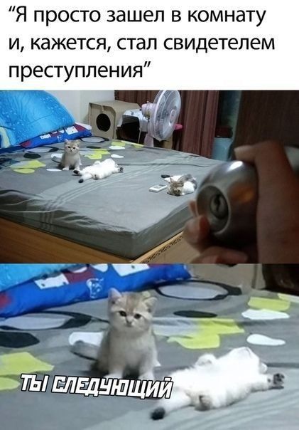 Я просто зашел в комнату и кажется стал свидетелем преступления
