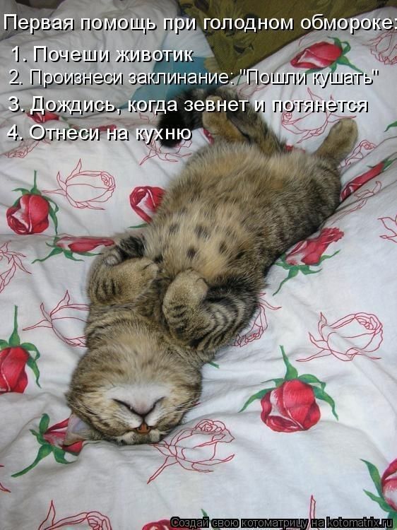 __и з пинаниед Даи