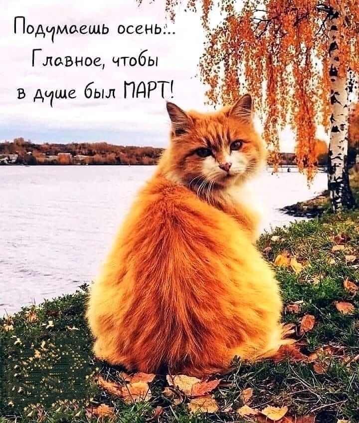 Подчмдешь осень Главное чтобы в дауне был ПДРТ 3 ЧЁ