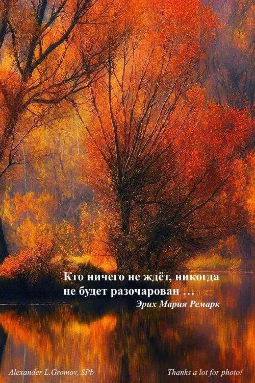 ц Ьшріаю