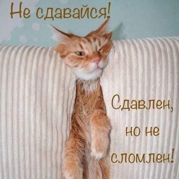 Н Я СдаваЮ к г