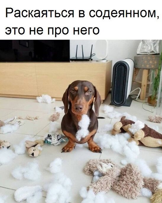 Раскаяться в содеянном это не про него