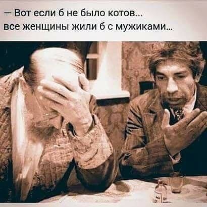 Вот если б не было котов все женщины жили 6 с мужиками