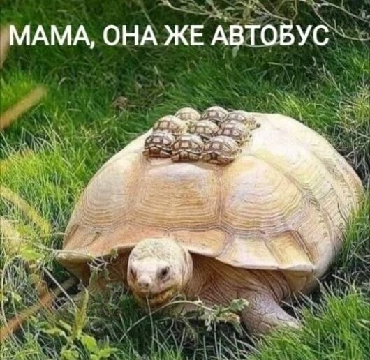 _ МАМА ОНА ЖЕ АвховУ