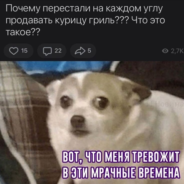 Почему перестали на каждом углу продавать курицу гриль Что это такое 015 Он фз