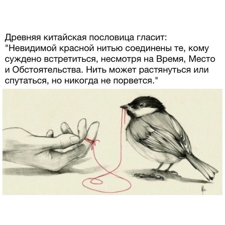 Древняя китайская пословица гласит Невидимой красной нитью соединены те кому суждено встретиться несмотря на Время Место и Обстоятельства Нить может растянуться ипи спутаться но никогда не порвется