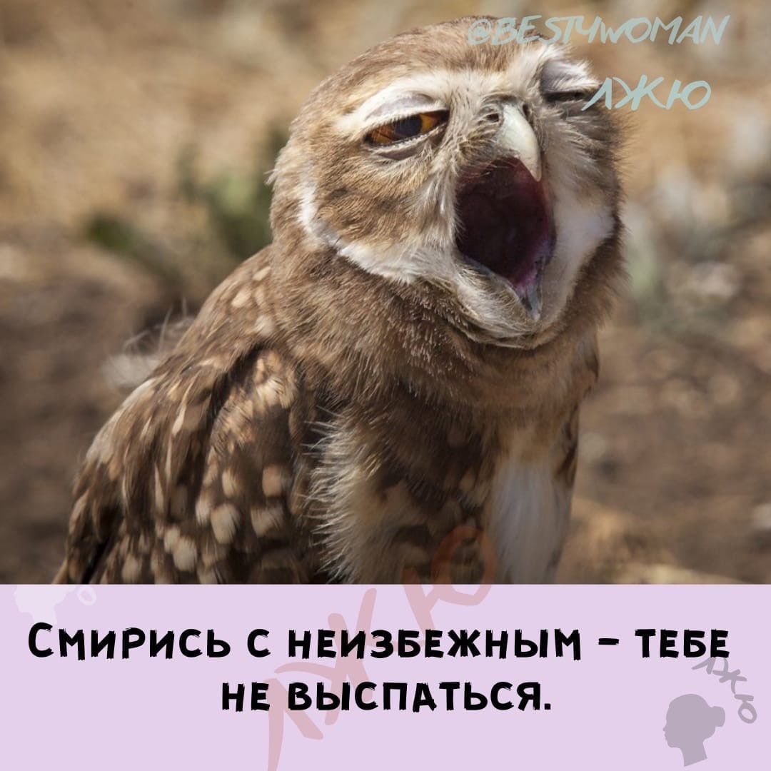 СМИРИСЬ С НЕИЗБЕЖНЫН ТЕБЕ НЕ ВЫСПАТЬСЯ