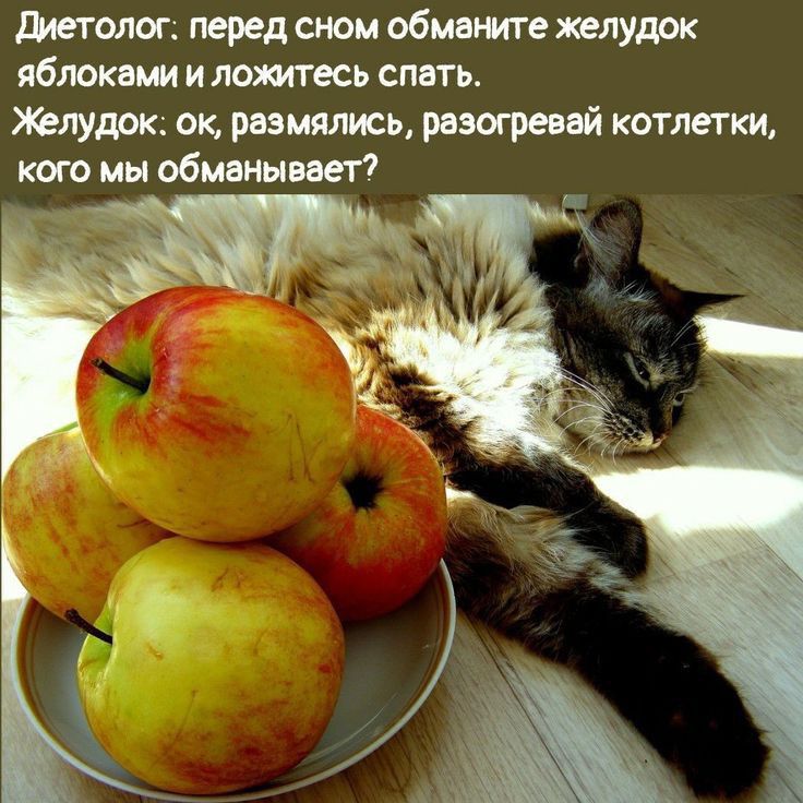 Методы перед сном общие шути яблоки и помесь емть щдок ок вишлист разогревай котлетки кого мы обманывает