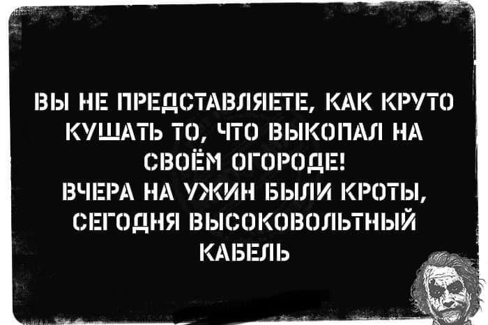 ВЫ НЕ ПРЕДСТАВЛШ КАК КРУТО КУЩАТЬ ТО ЧТО ВЫКОПАЛ МА СВПЁМ ПППОДЕ ВЧЕРА НА ЖИН БЫЛИ КРПТЫ СЕГОДНЯ ВЫСОКОВОЛЬТНЫЙ КАБЕЛЬ