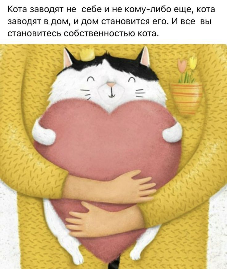 Кота заводят не себе и не кому либо еще кота заводят в дом и дом становится его И все вы становитесь собственностью кота п д А х Т и в