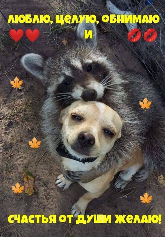 М СЧАСТЬЯ