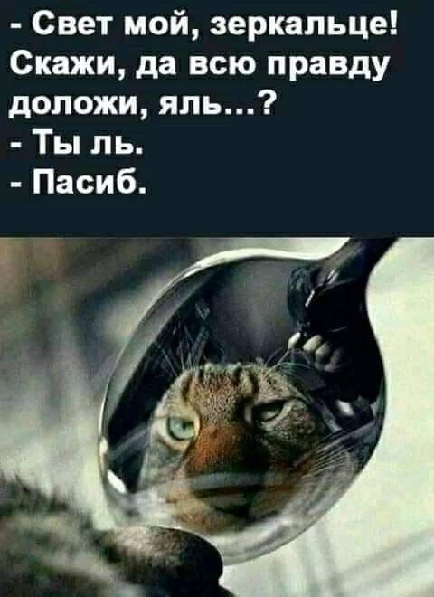 Свет мой зеркальце Скажи да всю правду допожи япь Ты ль Пасиб
