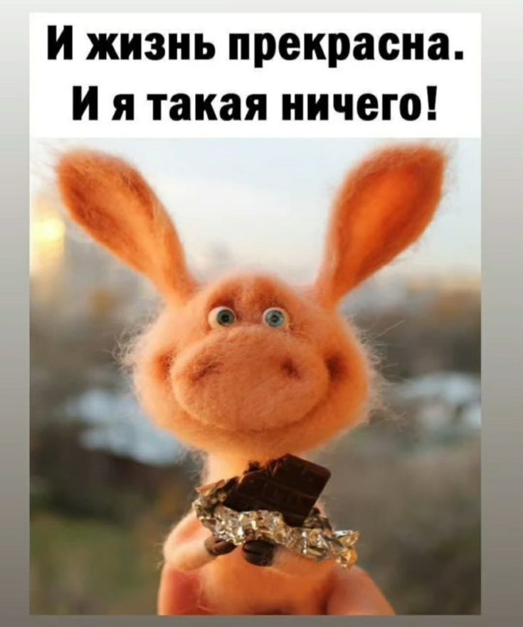 и жизнь прекрасна И я такая ничего